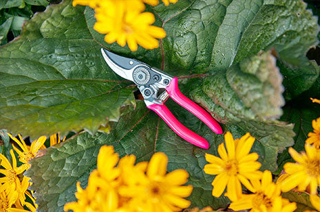 Grønn mini sekatør (Green Pocket Pruner)