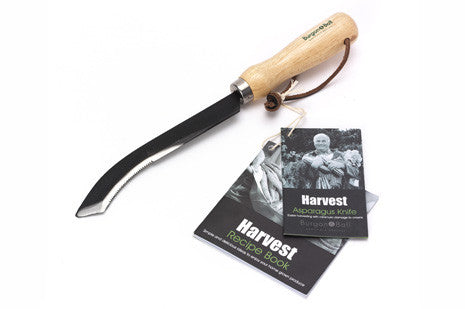 Aspargeskniv (Asparagus Knife)