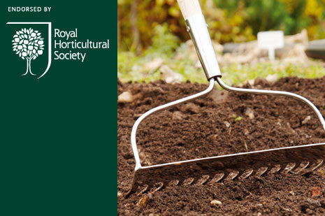 Rake (Garden Rake)