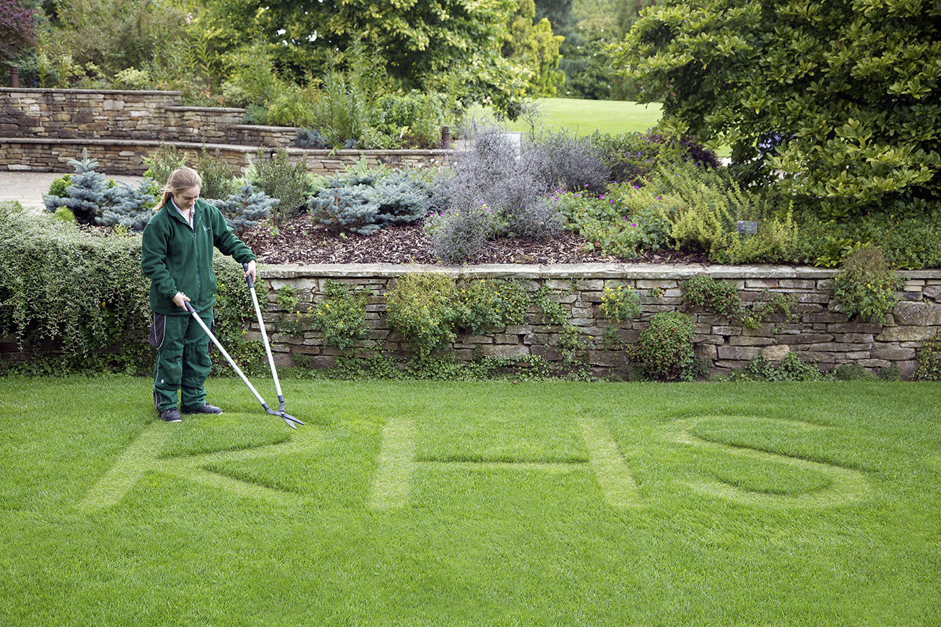 Gress klipper (Lawn Shears)