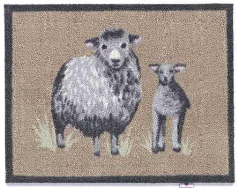 HR Sheep 1