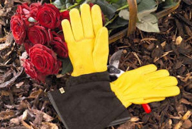 Hagehansker fra Gold Leaf (Gold Leaf Garden Gloves)