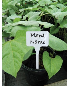 GP Hvit etiketter (White Plant labels)