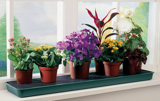 GP Selv-vanning vinduskarme plantebrett  (Self-watering windowsill plant tray)